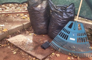 Levelek zsákolása